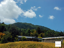 画像をギャラリービューアに読み込む, Nikon COOLPIX S6100【完動品】【実写済み!】▪️オールドコンデジ▪️デジタルカメラ