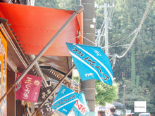 画像をギャラリービューアに読み込む, Nikon CoolpixP310【完動品】【美品❗️】▪️オールドコンデジ▪️デジタルカメラ