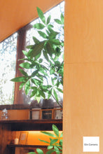 画像をギャラリービューアに読み込む, Nikon S1【実写済み❗️】【完動品】状態◎▪️デジタルミラーレス一眼レフ▪️オールドコンデジ