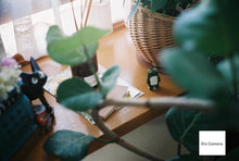 画像をギャラリービューアに読み込む, FUJIFILM NATURA NS|抹茶グリーンカスタム🍵【完動品】毛糸ポーチ付き🧶軽量コンパクトな高感度フィルムカメラ📷✨