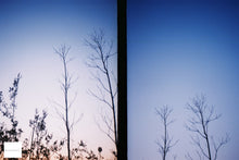 画像をギャラリービューアに読み込む, Canon Demi S(キャノン デミS)完動品📷軽量ハーフカメラでたっぷり撮れる🎞✨