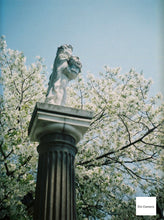 画像をギャラリービューアに読み込む, Canon Demi S(キャノン デミS)完動品📷軽量ハーフカメラでたっぷり撮れる🎞✨