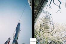 画像をギャラリービューアに読み込む, MARIX800Tungsten(35mmフィルム) カラーネガフィルム 36枚撮り【海外フィルム✈️/期限内】