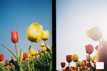 Load image into Gallery viewer, Canon Demi S(キャノン デミS)完動品📷軽量ハーフカメラでたっぷり撮れる🎞✨