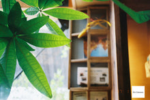 Load image into Gallery viewer, 人気の超薄型モデル!Konica Bigmini BM-301(完動品)📸初心者OK◎