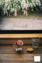 画像をギャラリービューアに読み込む, Canon DIAL35【完動品】ハーフカメラ