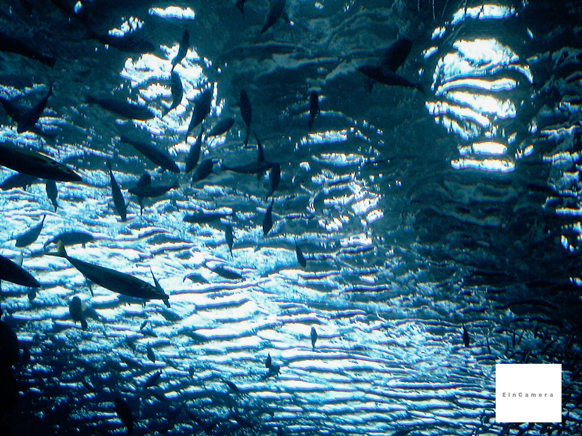 ✨エモい✨ Pentax Optio WP ライトブルー 良品 アダプター付き