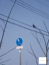 画像をギャラリービューアに読み込む, PENTAX Optio l-10【完動品】▪️オールドコンデジ▪️デジタルカメラ