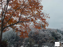 Load image into Gallery viewer, 📸 PENTAX Optio W10【完動品】人気の防水仕様🏄🌊|CCDオールドコンデジ✨