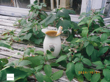 画像をギャラリービューアに読み込む, PENTAX OPTIO WS80【完動品】防水デジタルカメラ☔️▪️オールドコンデジ▪️デジタルカメラ