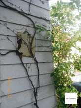 画像をギャラリービューアに読み込む, PENTAX OPTIO WS80【完動品】防水デジタルカメラ☔️▪️オールドコンデジ▪️デジタルカメラ