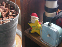 画像をギャラリービューアに読み込む, PENTAX Optio 43WR 🌊 ほぼ水中カメラ🐠 CCDセンサー搭載 オールドコンデジ 単三電池対応🔋