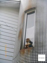 画像をギャラリービューアに読み込む, PENTAX OPTIO WS80【完動品】防水デジタルカメラ☔️▪️オールドコンデジ▪️デジタルカメラ