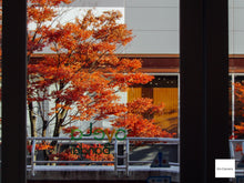 画像をギャラリービューアに読み込む, PENTAX OPTIO VS20 ブリリアントホワイト【完動品】【美品✨】▪️オールドコンデジ▪️デジタルカメラ