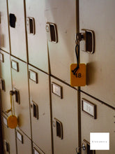 画像をギャラリービューアに読み込む, PENTAX OPTIO L-10 ホワイト 📷 CCDセンサー搭載 / オールドコンデジ / フラッシュ・日付OK!【完動品✨美品】