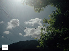 画像をギャラリービューアに読み込む, PENTAX Optio X【希少❗️】【完動品】▪️CCDカメラ▪️オールドコンデジ▪️デジタルカメラ