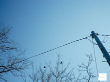 画像をギャラリービューアに読み込む, PENTAX Optio l-10【完動品】▪️オールドコンデジ▪️デジタルカメラ