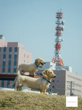 画像をギャラリービューアに読み込む, PENTAX Optio W60 ピンク【完動品】【貴重❗️】▪️オールドコンデジ▪️デジタルカメラ