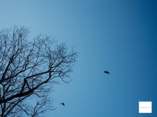 画像をギャラリービューアに読み込む, PENTAX Optio l-10(BK)【完動品】【実写済み❗️】