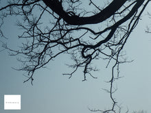 画像をギャラリービューアに読み込む, PENTAX Optio W60 オーシャンブルー【完動品】【貴重❗️】▪️オールドコンデジ▪️デジタルカメラ