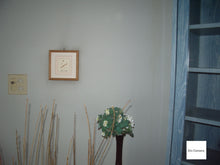 画像をギャラリービューアに読み込む, PENTAX Optio S40【完動品】【実写済み❗️】▪️オールドコンデジ▪️デジタルカメラ