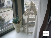 画像をギャラリービューアに読み込む, PENTAX Optio S40【完動品】【実写済み❗️】▪️オールドコンデジ▪️デジタルカメラ