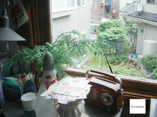 Load image into Gallery viewer, 📸PENTAX OPTIO 330GS|自撮りできるレトロデジカメ✨【完動品】状態◎