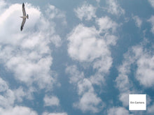 画像をギャラリービューアに読み込む, PENTAX Optio 330GS ブルー 🧊 【完動品・希少✨】ほぼ新品レベル オールドコンデジ