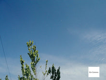 画像をギャラリービューアに読み込む, PENTAX Optio 330GS ブルー 🧊 【完動品・希少✨】ほぼ新品レベル オールドコンデジ