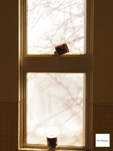 画像をギャラリービューアに読み込む, PENTAX Q10 ヨッシーカラー💚【完動品】【希少✨】【美品❗️】フルセット❗️▪️オールドコンデジ▪️ミラーレス一眼レフカメラ