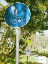 画像をギャラリービューアに読み込む, PENTAX Q10 ヨッシーカラー💚【完動品】【希少✨】【美品❗️】フルセット❗️▪️オールドコンデジ▪️ミラーレス一眼レフカメラ