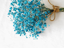 画像をギャラリービューアに読み込む, Canon IXY220F【動作品】【実写済み❗️】▪️オールドコンデジ▪️デジタルカメラ