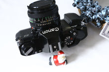 Load image into Gallery viewer, ✨完動品✨ Canon AL-1 単四電池対応 📸 明るい50mm F1.8レンズ付き 🌟 ピント合わせランプ機能付