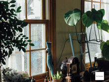 画像をギャラリービューアに読み込む, Canon Power Shot A2000IS【完動品】▪️オールドコンデジ▪️デジタルカメラ