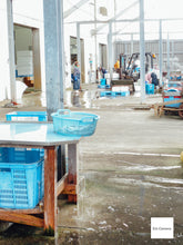 画像をギャラリービューアに読み込む, Canon IXY 210F【完動品】【美品❗️】▪️オールドコンデジ▪️デジタルカメラ