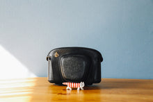 画像をギャラリービューアに読み込む, PENTAX SP【完動品】状態◎