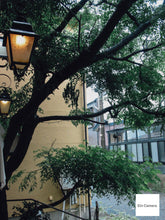 画像をギャラリービューアに読み込む, Canon PowerShot G2 📷 名機✨オールドコンデジ 完動品💯 バリアングル搭載🎯