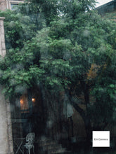 画像をギャラリービューアに読み込む, Canon PowerShot G2 📷 名機✨オールドコンデジ 完動品💯 バリアングル搭載🎯