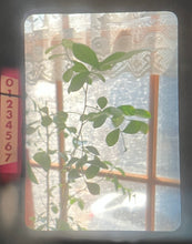 Load image into Gallery viewer, クラシックな名機📸 OLYMPUS PEN FT✨【完動品】ハーフ一眼レフカメラ・露出計付き❗️