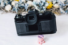 画像をギャラリービューアに読み込む, Canon AE-1 PROGRAM【完動品】ブラックボディ・New FD50mmF1.4 SET❗️