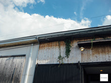 画像をギャラリービューアに読み込む, Canon IXY Digital 25IS【完動品】【美品❗️】▪️オールドコンデジ▪️デジタルカメラ