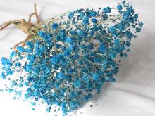 画像をギャラリービューアに読み込む, Canon IXY 210F【完動品】【美品❗️】▪️オールドコンデジ▪️デジタルカメラ