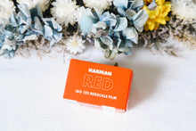 画像をギャラリービューアに読み込む, カラーネガフィルム 36枚撮り 【期限内/海外フィルム✈️】1本売り