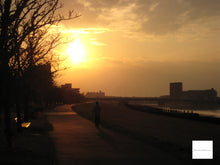 画像をギャラリービューアに読み込む, Canon IXY10【完動品】▪️オールドコンデジ▪️デジタルカメラ