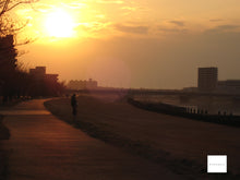 画像をギャラリービューアに読み込む, Canon IXY10【完動品】▪️オールドコンデジ▪️デジタルカメラ