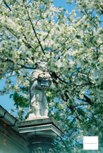 画像をギャラリービューアに読み込む, OLYMPUS OZ120ZOOM(BK)【動作品】