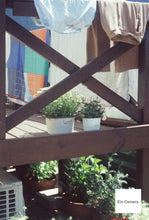 画像をギャラリービューアに読み込む, Canon Autoboy TELE6【完動品】ハーフ切り替え可能!