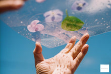 画像をギャラリービューアに読み込む, PENTAX SP【完動品】貼り革変更オプション有り