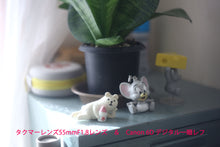 画像をギャラリービューアに読み込む, Praktica FX2 & Carl Zeiss Jena Tessar 50mmF3.5 & Takuma 55mmF1.8 2レンズセット❗️【完動品】