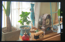 Load image into Gallery viewer, PENTAX SP(SV)【完動品】フィルム一眼レフカメラ&明るいタクマーレンズ付き❗️